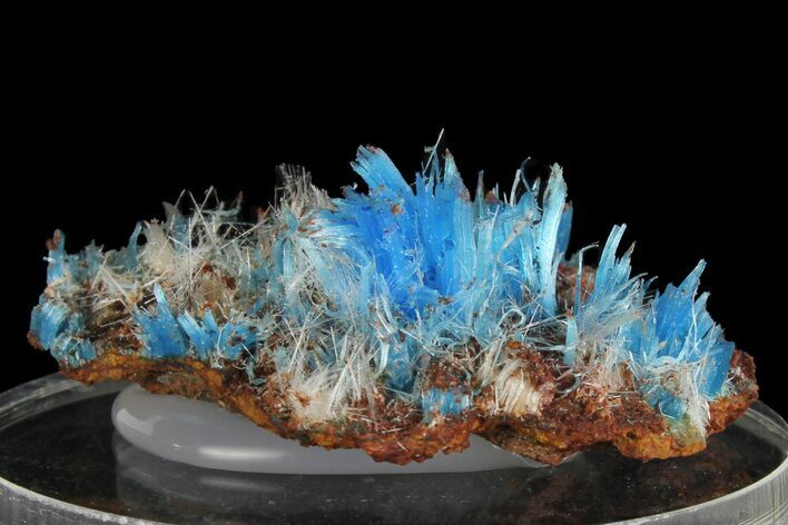 Vibrant Blue Chalcanthite - Planet Mine, Arizona #176497